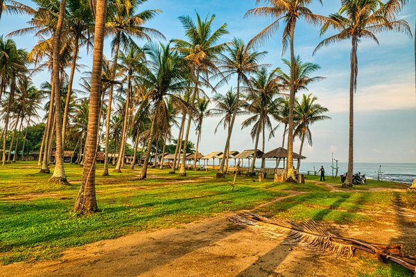 Les meilleurs bons plans de l'été